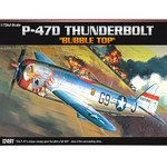 12491 P-47D 